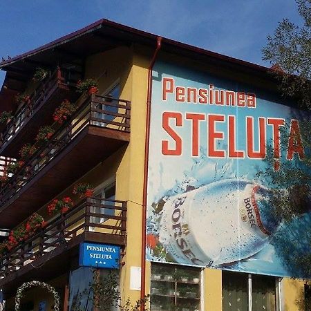 Pensiunea Steluta Predeal Bagian luar foto