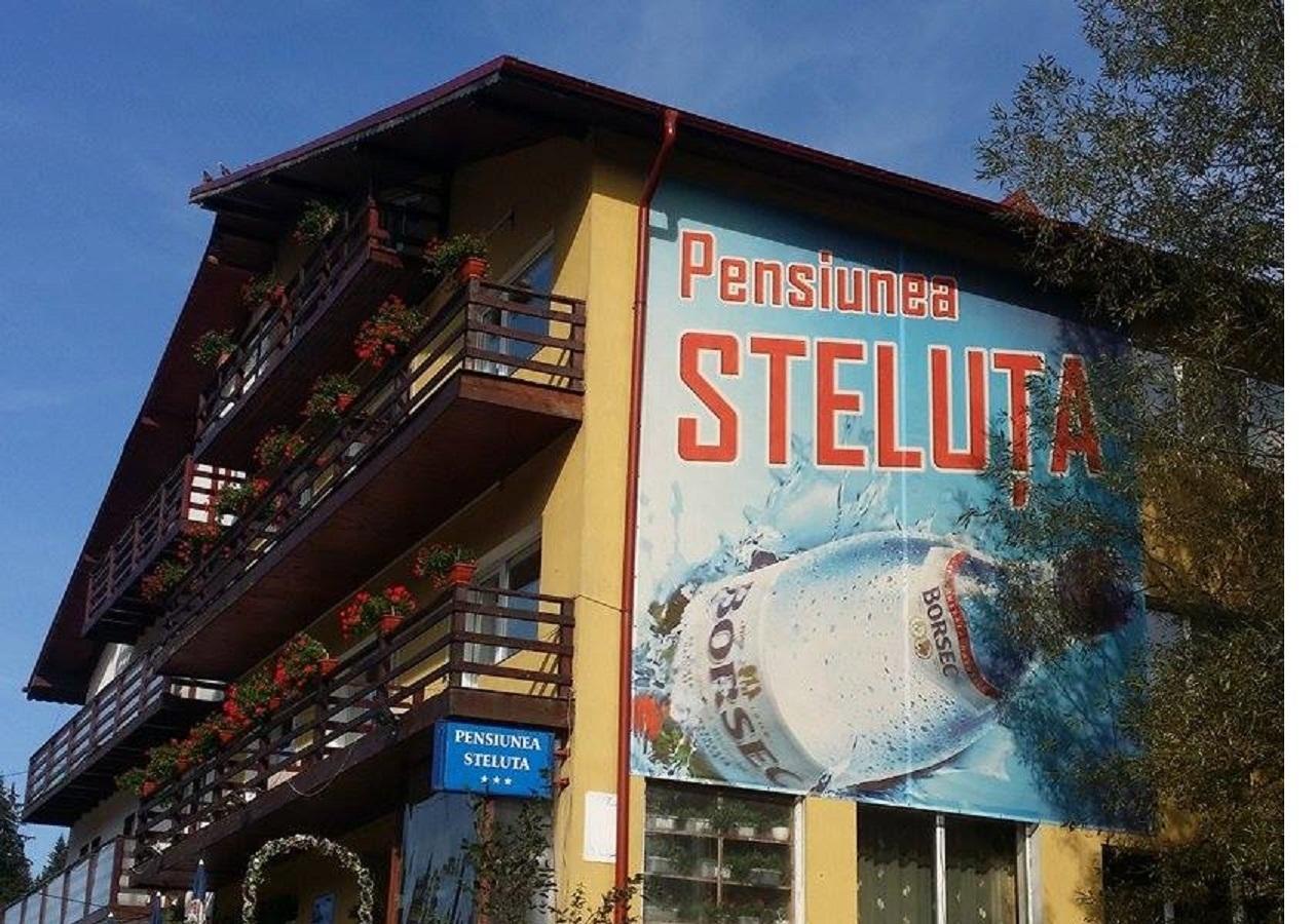 Pensiunea Steluta Predeal Bagian luar foto